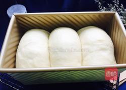 蔓越莓奶香土司的做法图解15