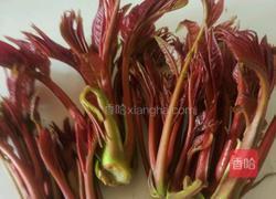 春芽蛋饼的做法图解1