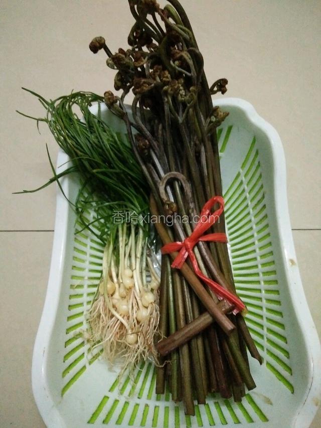 准备好蕨菜和野葱