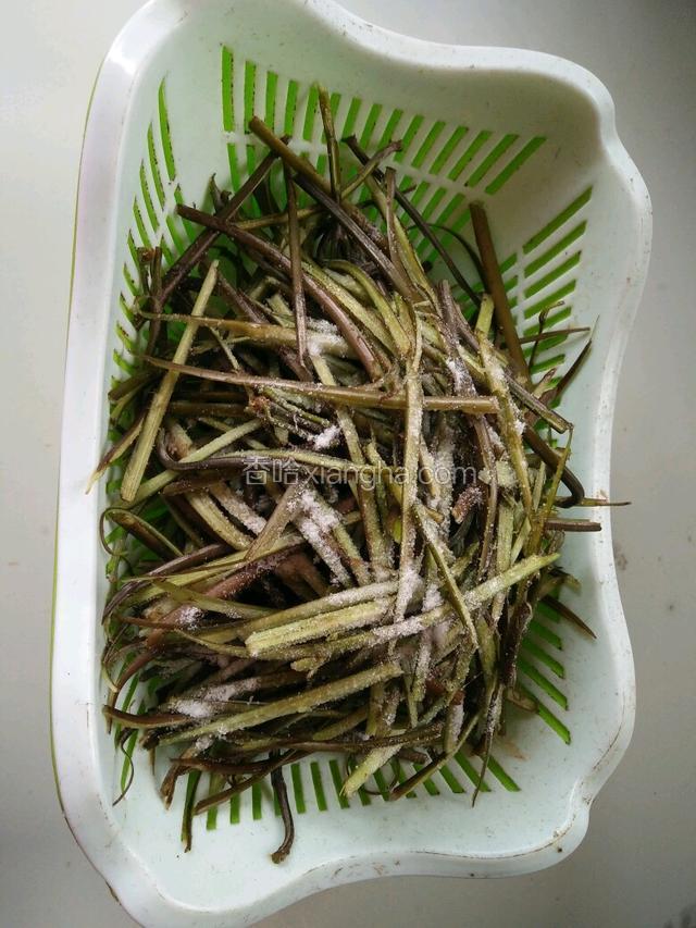 全部分好后就开始放盐腌制！这时盐要多一点才能把蕨菜里面的苦水腌出来，放完盐要用手反复揉搓，让每根蕨菜都能吃到盐。