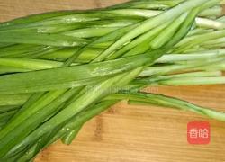 荠菜水饺的做法图解5