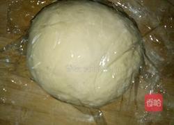 荠菜水饺的做法图解9