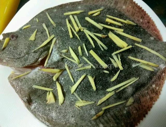 把多宝鱼放在姜丝上面然后再把剩下的姜丝撒在多宝鱼的表面