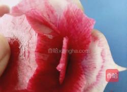 荷花（）莲花的做法图解14