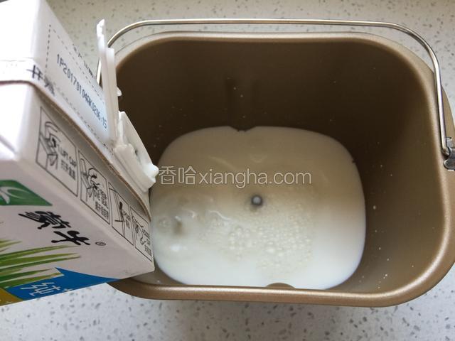 将一半纯牛奶倒入内胆。