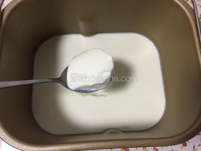 美味酸奶做好了。