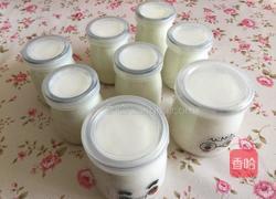 自制酸奶的做法图解10