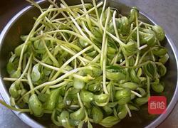 豆苗拌粉丝的做法图解1