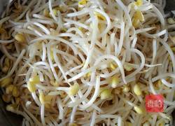素炒黄豆芽的做法图解1