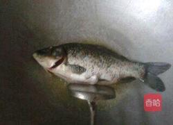 玉米鲫鱼汤的做法图解3