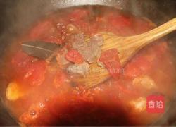 「Cathy边吃边营养」西红柿炖牛腩营养版的做法图解10