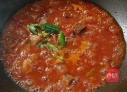 「Cathy边吃边营养」西红柿炖牛腩营养版的做法图解11