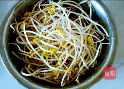 凉拌黄豆芽的做法图解1