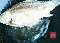 红烧鲫鱼豆腐的做法图解6