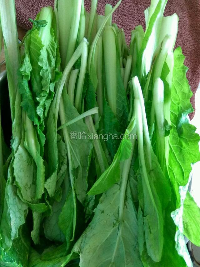 小白菜洗净，控水