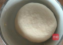 香酥手抓饼的做法图解4
