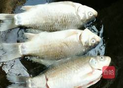 香煎鲫鱼的做法图解6