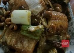 山黄皮焖啤酒鱼的做法图解16