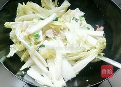 猪肉白菜炖粉条的做法图解5