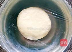 刺猬红豆包的做法图解4