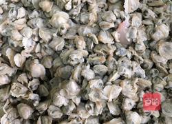 韭菜蚬肉烧肉鸭肾炒翘头的做法图解5