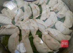 辣椒肉馅蒸饺的做法图解8