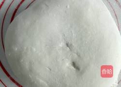 葱油饼的做法图解4