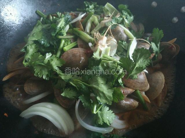 炒一会蚬子开口了就是熟了，放入香菜和圆葱，放入调味料