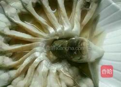 孔雀开屏鱼的做法图解9