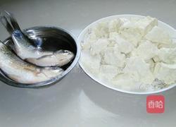 豆花鲫鱼汤的做法图解1