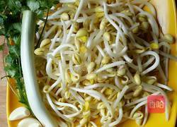 凉拌黄豆芽的做法图解1