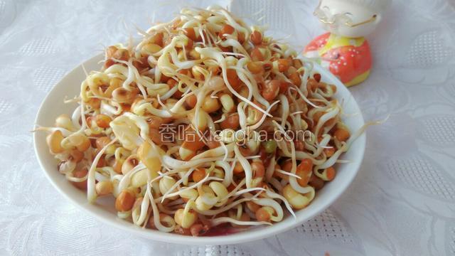 三十六小时后的豆芽，炒或拌都非常营养健康美味的哦！