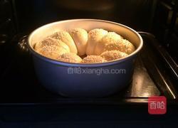 海苔肉松面包的做法图解13