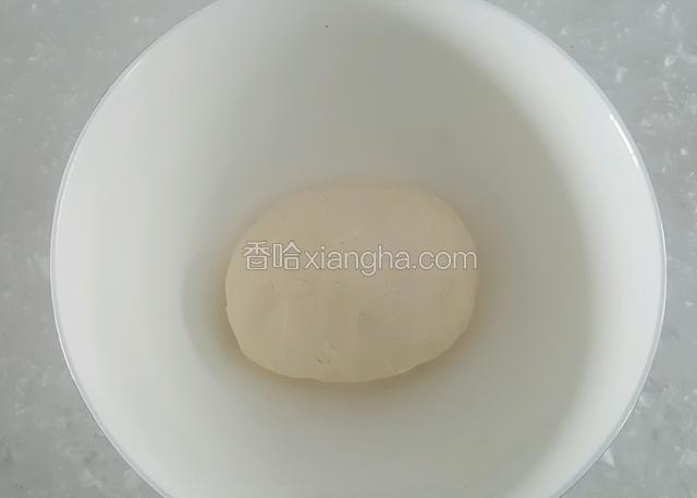 将絮状面粉揉成光滑的面团，醒发备用。