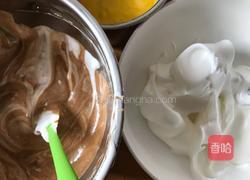 斑马纹戚风蛋糕的做法图解9