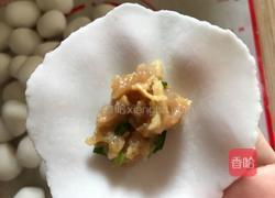 水晶饺子的做法图解5