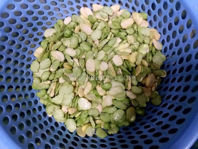 买来的新鲜胡豆瓣洗干净。