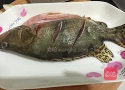 清蒸桂鱼的做法图解1