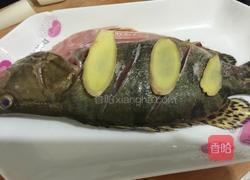 清蒸桂鱼的做法图解4