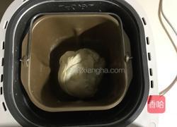 马蹄糕的做法图解3