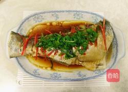 清蒸大头鲢鱼断的做法图解6