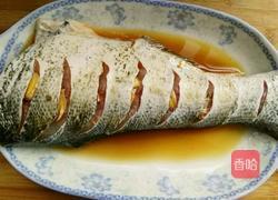 清蒸大头鲢鱼断的做法图解3