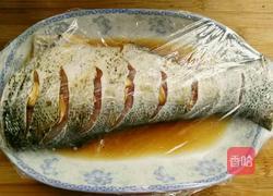 清蒸大头鲢鱼断的做法图解4