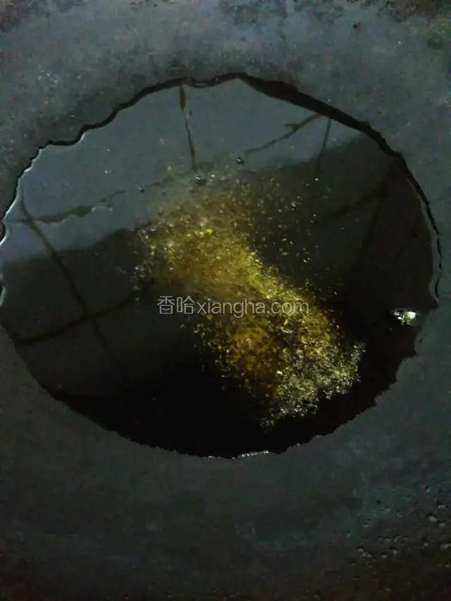 坐锅添油，小火爆香花椒粉。