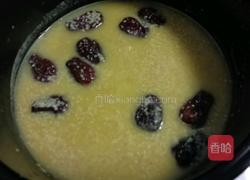 小麦胚芽红枣粥的做法图解6