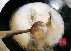 鲫鱼炖蛋的做法图解5