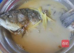 鲫鱼汤的做法图解9