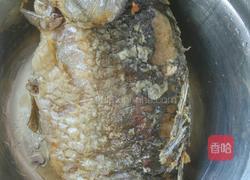 鲫鱼汤的做法图解6