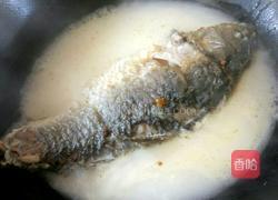 鲫鱼汤的做法图解8
