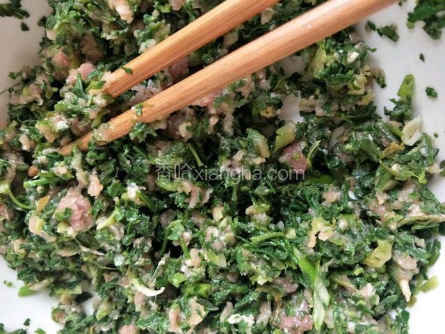 加盐，耗油，香油和水淀粉。搅拌均匀备用。（葱姜我剁在肉馅里了，肉馅是剩的，所以没有拍照。）